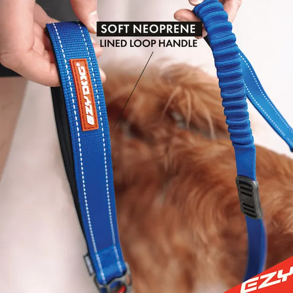 Ezy Dog 48 Zero Shock Leash - Blue