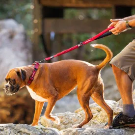 Zero Shock Dog Leash